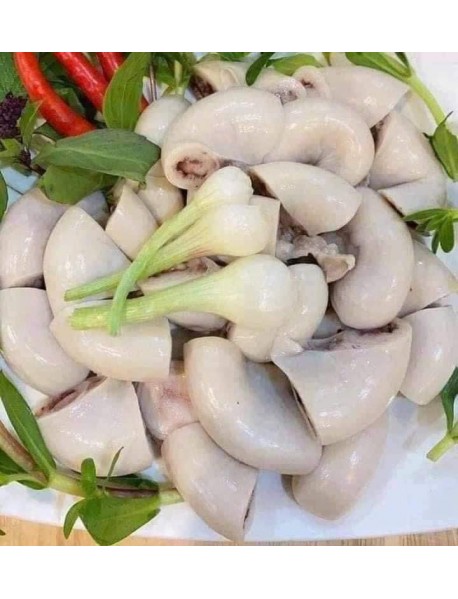 Dồi trường