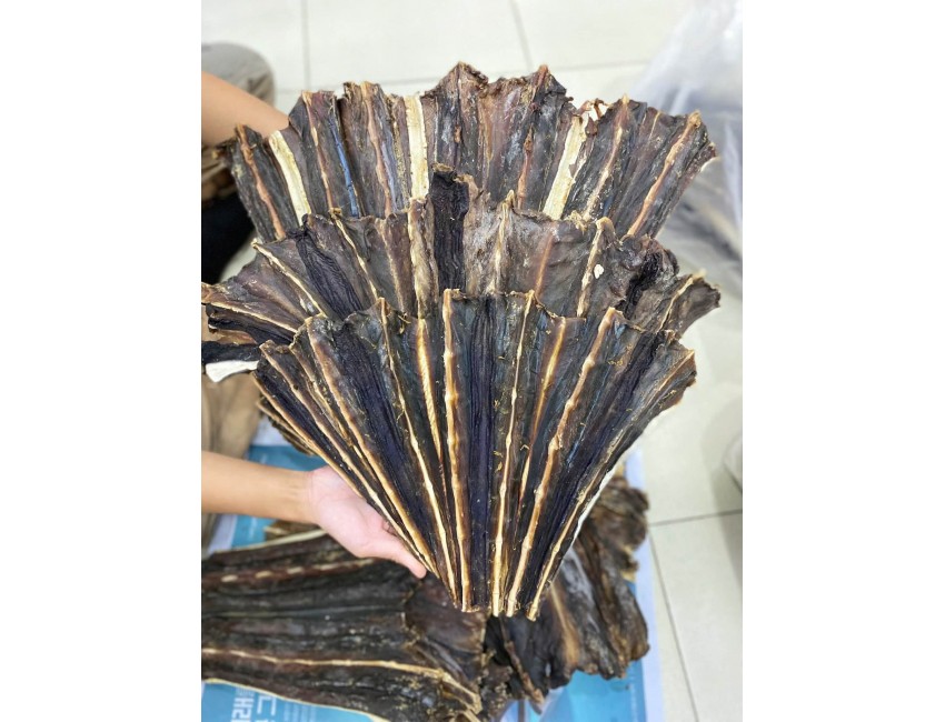 Vây Cá Đuối Đen Vây Cá Đuối Đen