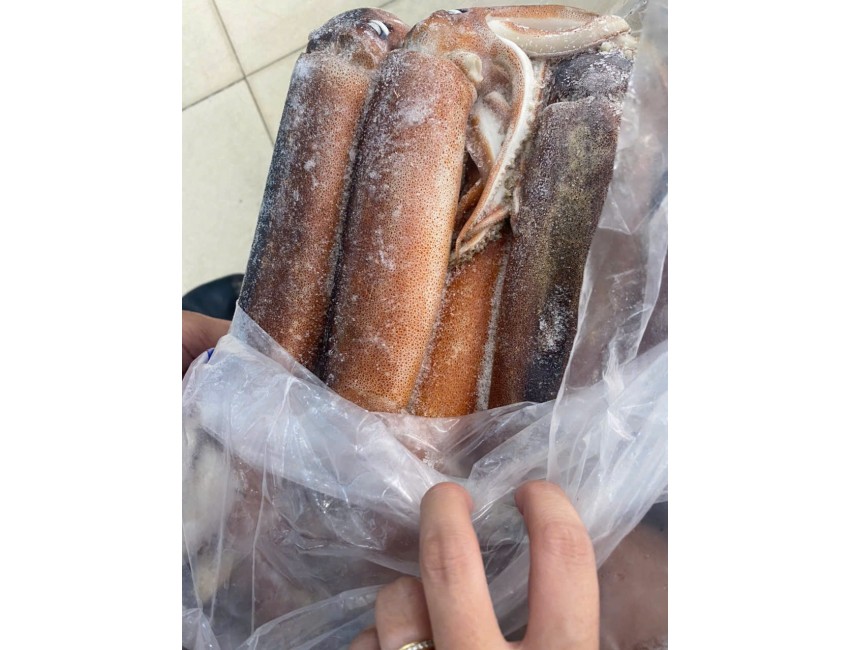 Mực ống size lớn